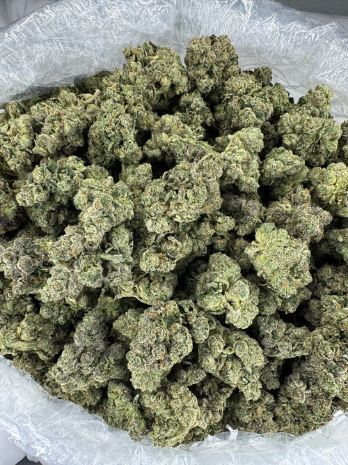 BULK - Blue Dream - Indoor