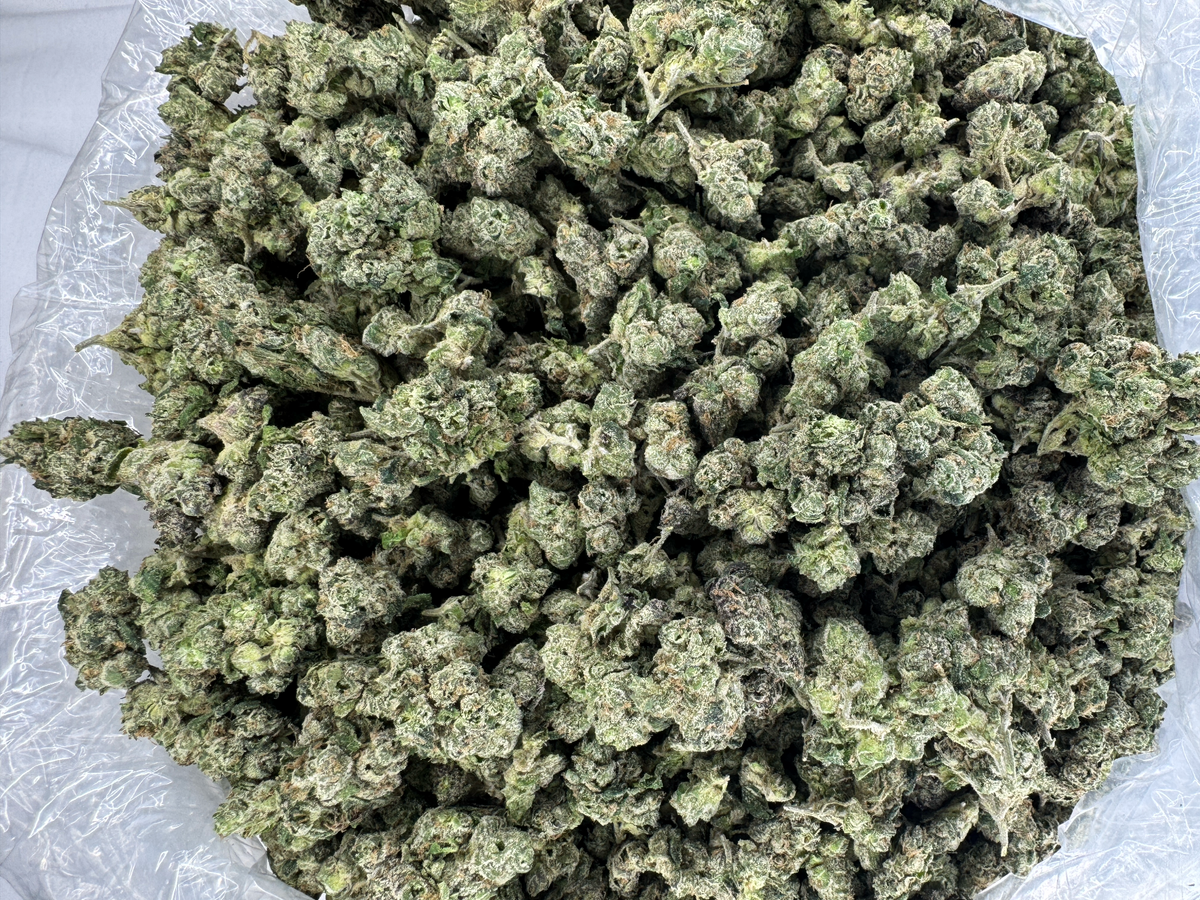 Bubba Candy Coat - SMALLS - Indoor