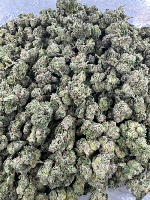 Bubba Candy Coat - SMALLS - BULK - Indoor