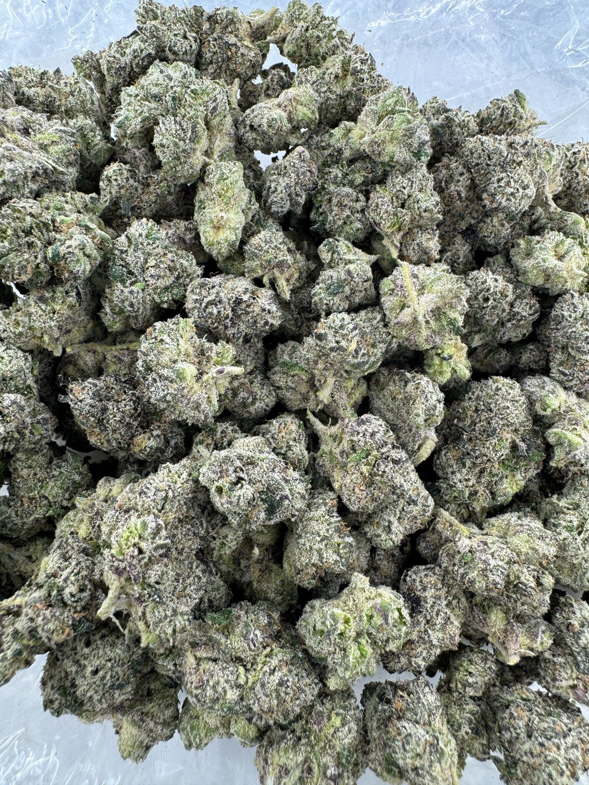 Master Kush - BULK - Indoor