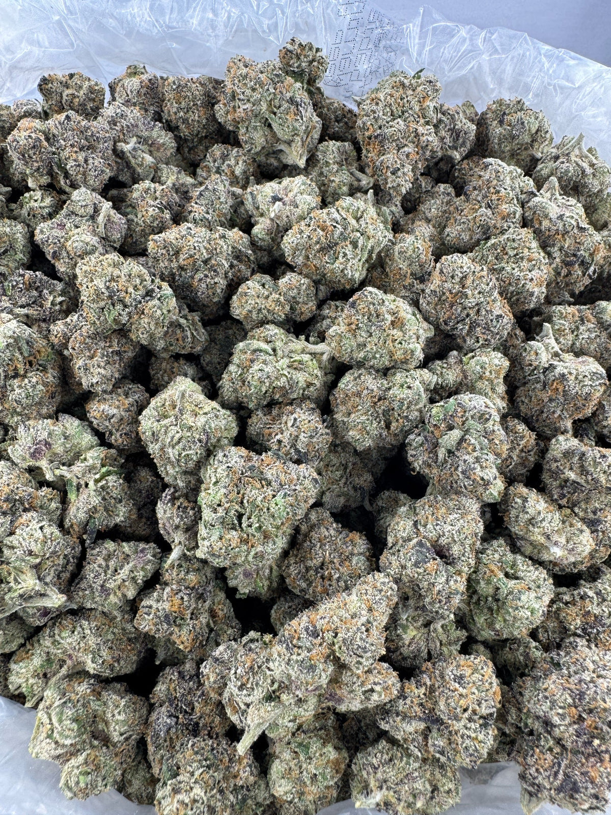 Death Star - BULK - Indoor