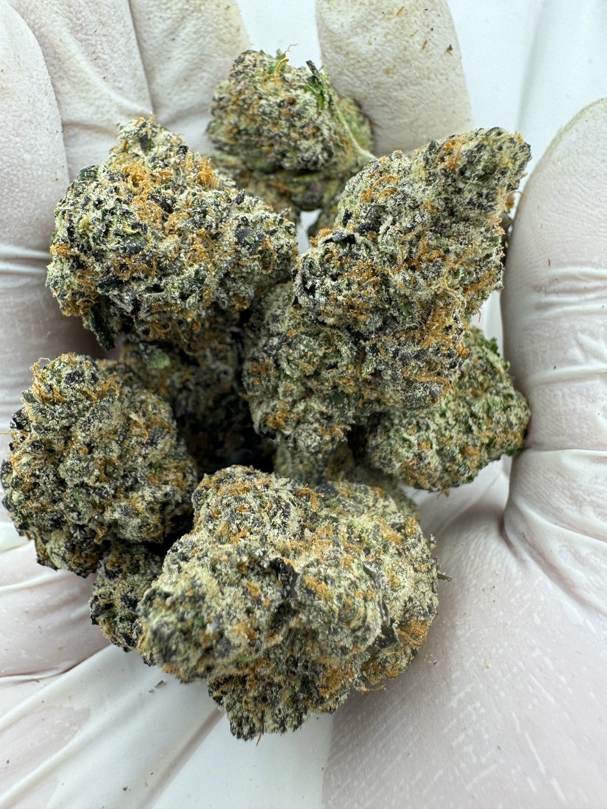 Death Star - BULK - Indoor
