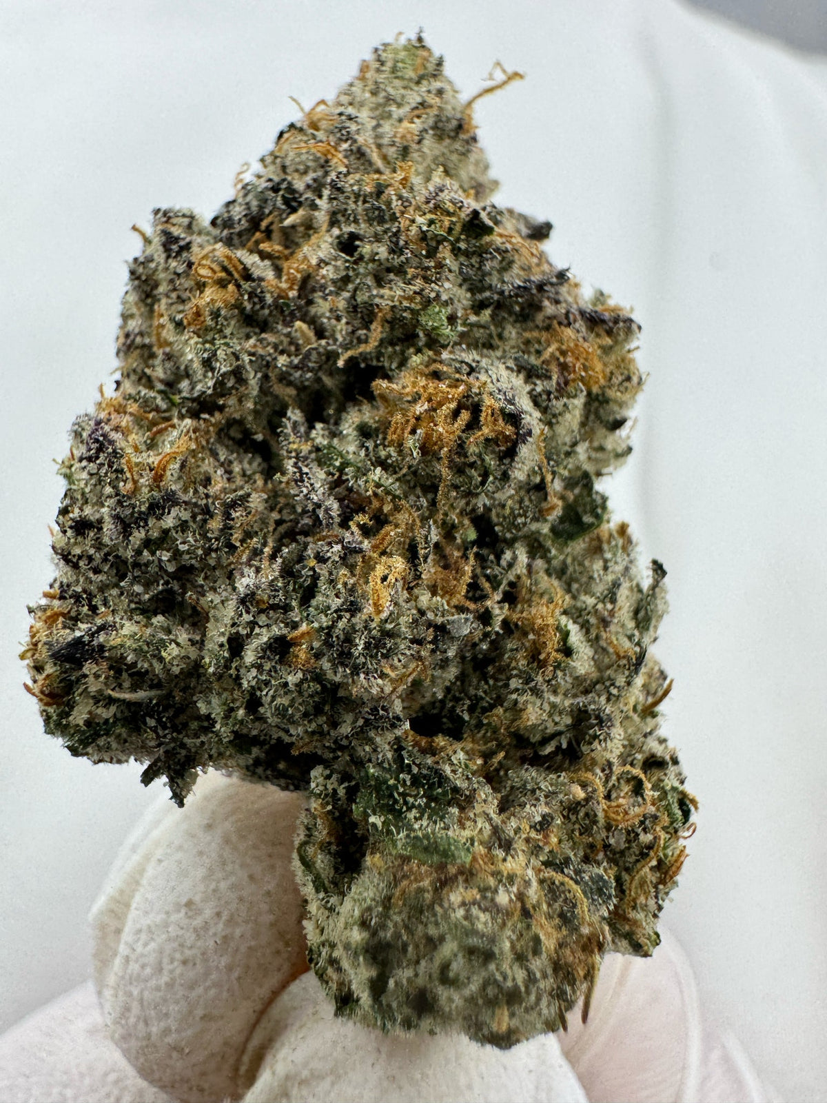 Death Star - BULK - Indoor