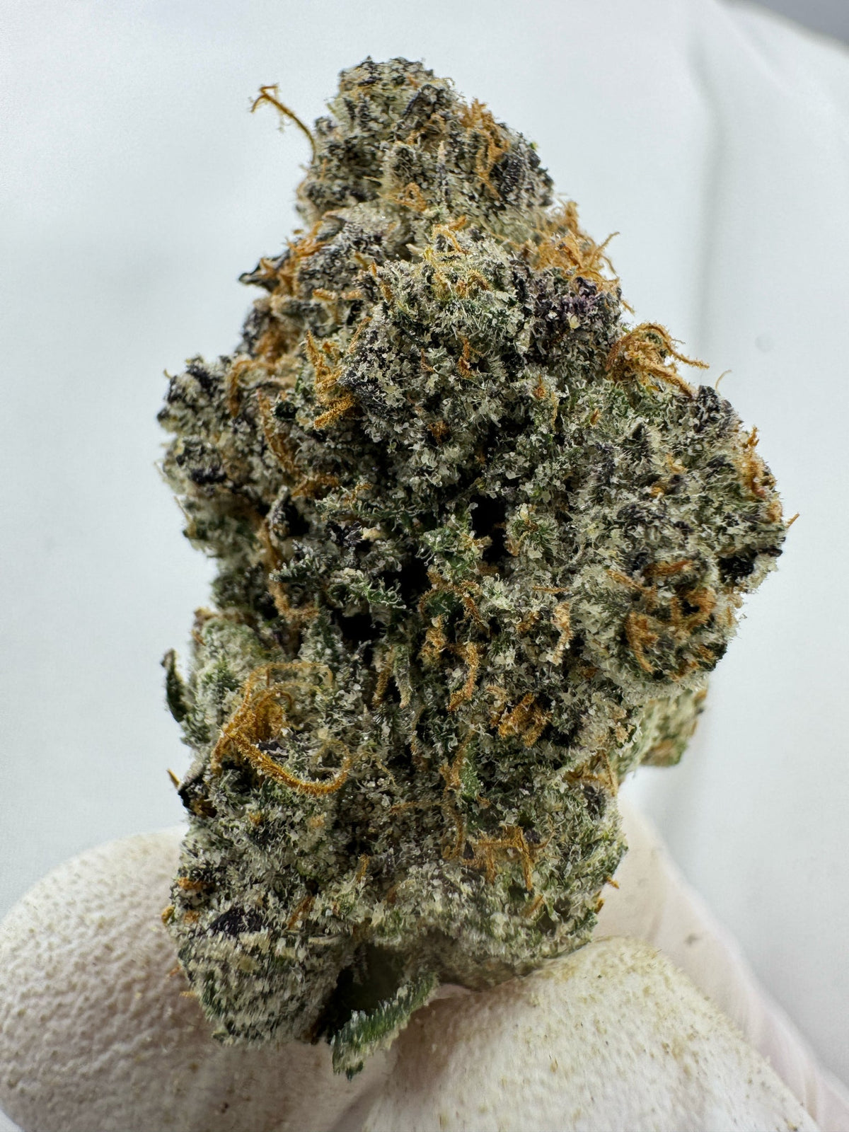 Death Star - BULK - Indoor