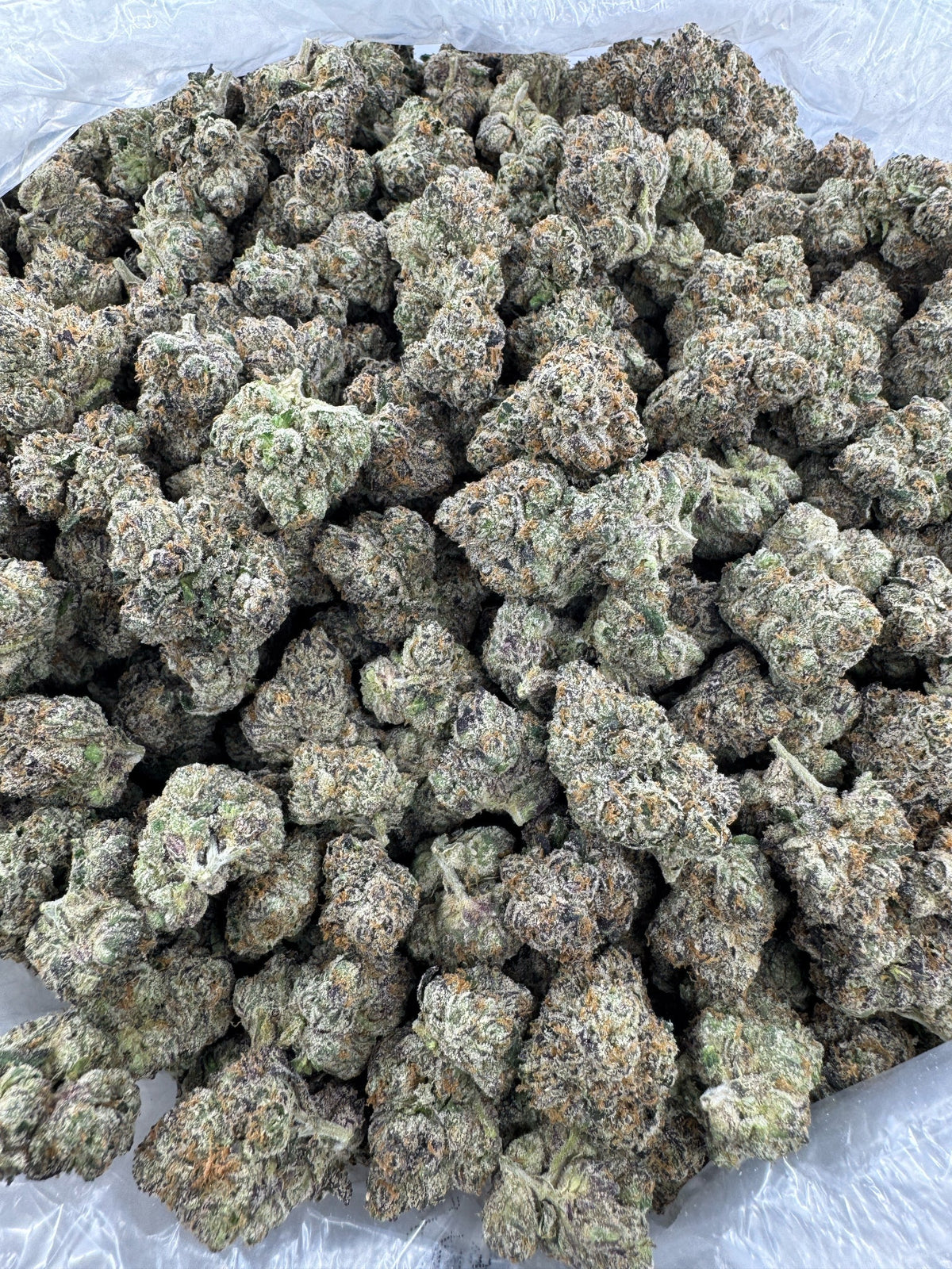 LA CONFIDENTIAL - Indoor