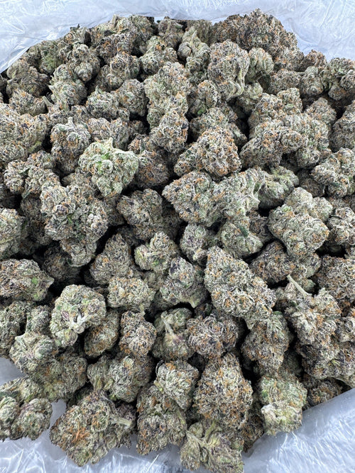 LA CONFIDENTIAL - BULK - Indoor