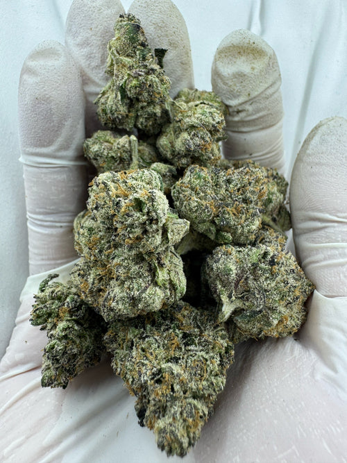 LA CONFIDENTIAL - Indoor