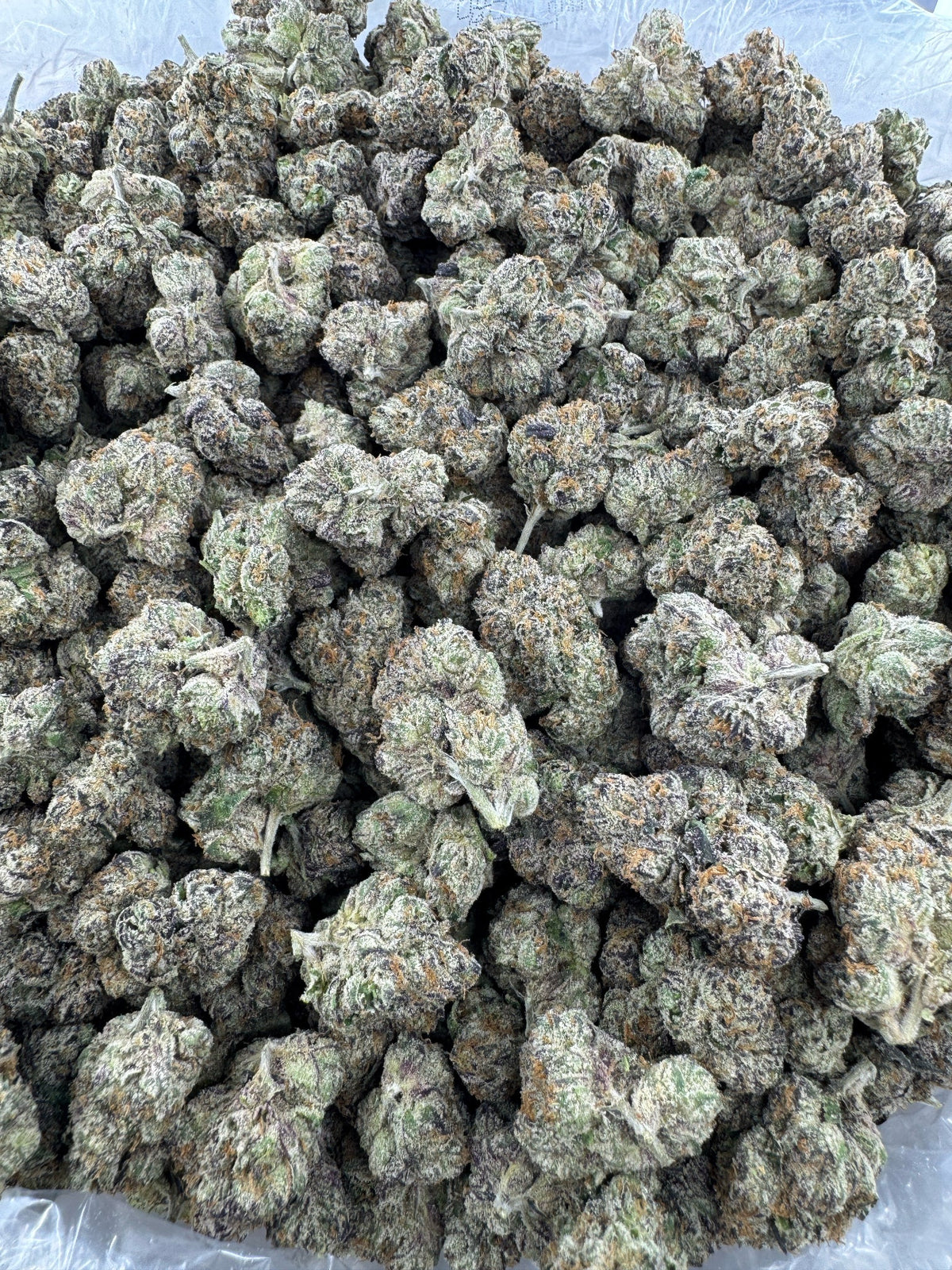 God's Gift - BULK - Indoor