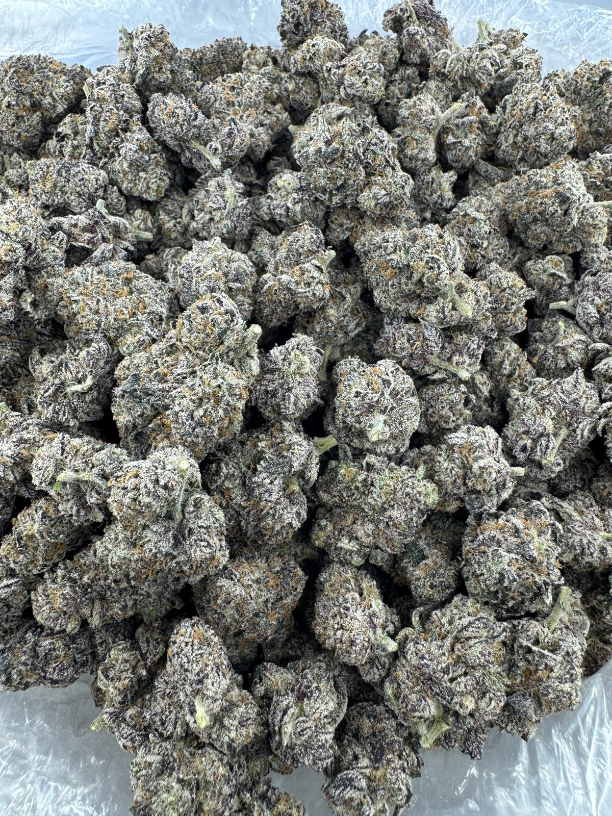 Amnesia Haze - Indoor