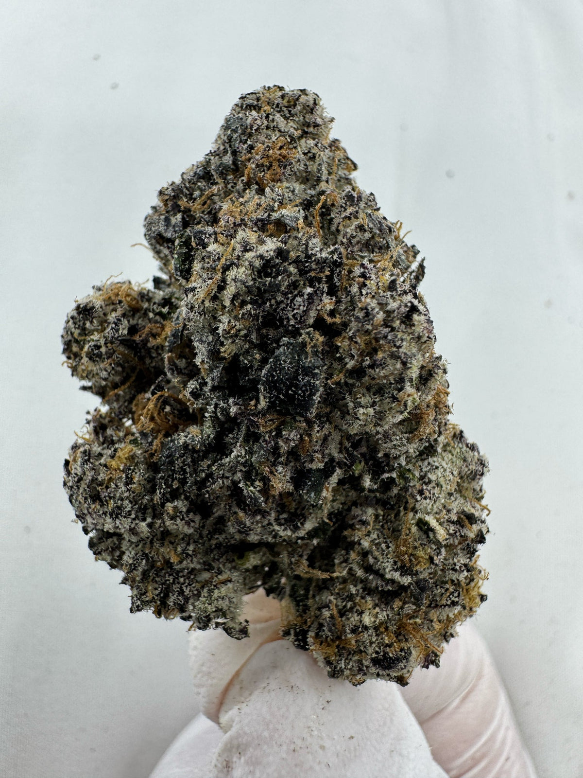 Amnesia Haze - Indoor