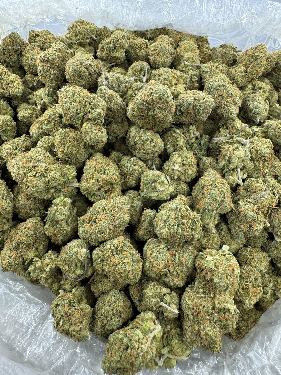 Maui Wowie - Indoor