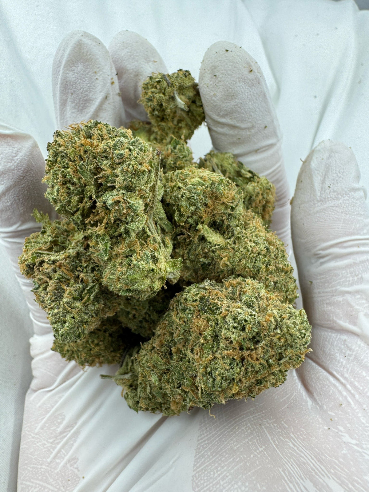 Maui Wowie - Indoor