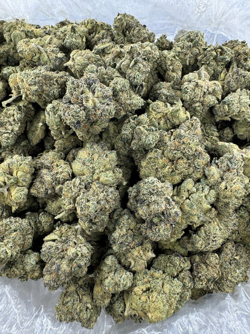 CHOCOLOPE - Indoor