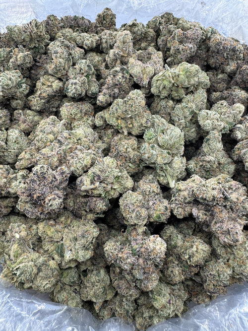 Island Sweet Skunk - BULK - Indoor