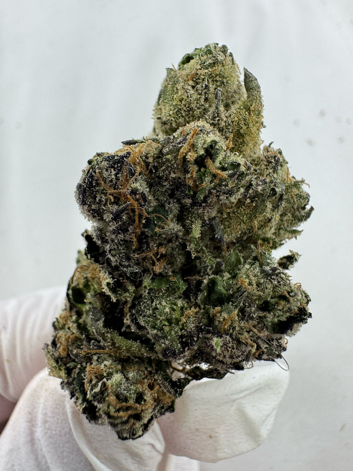 Island Sweet Skunk - BULK - Indoor
