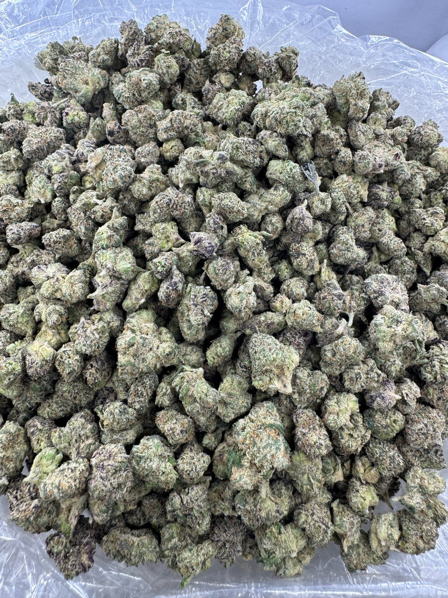 SMALLS - LAMBS BREAD - Indoor