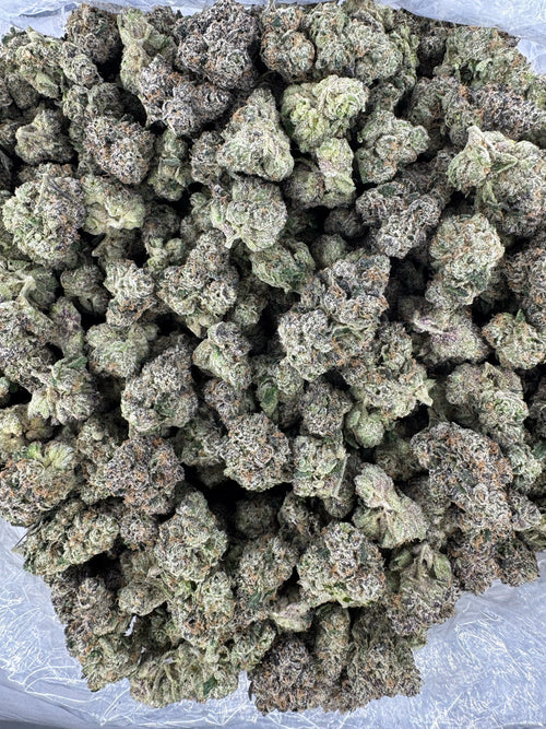 BULK - Wedding Cake - Indoor