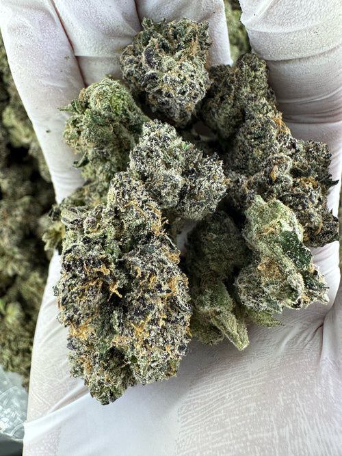 Wedding Cake - Indoor