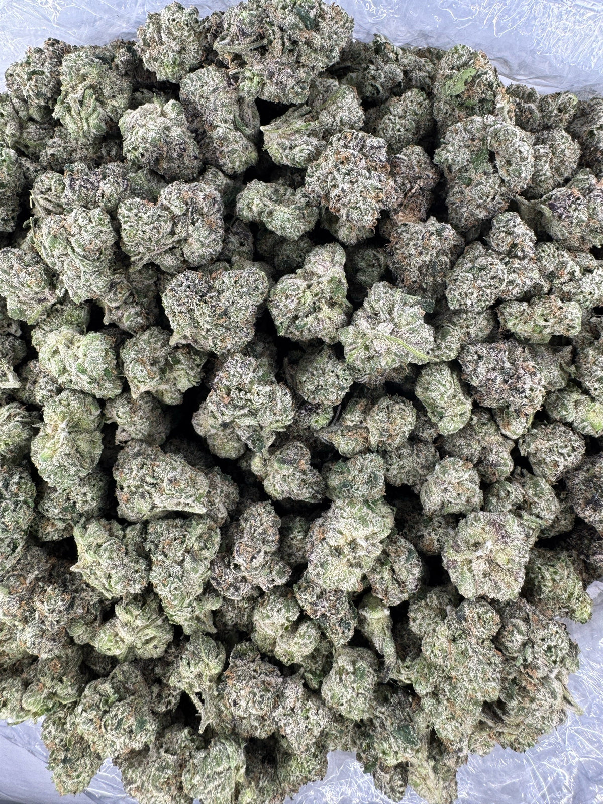 Super Boof - Indoor