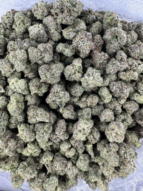 BULK - Super Boof - Indoor