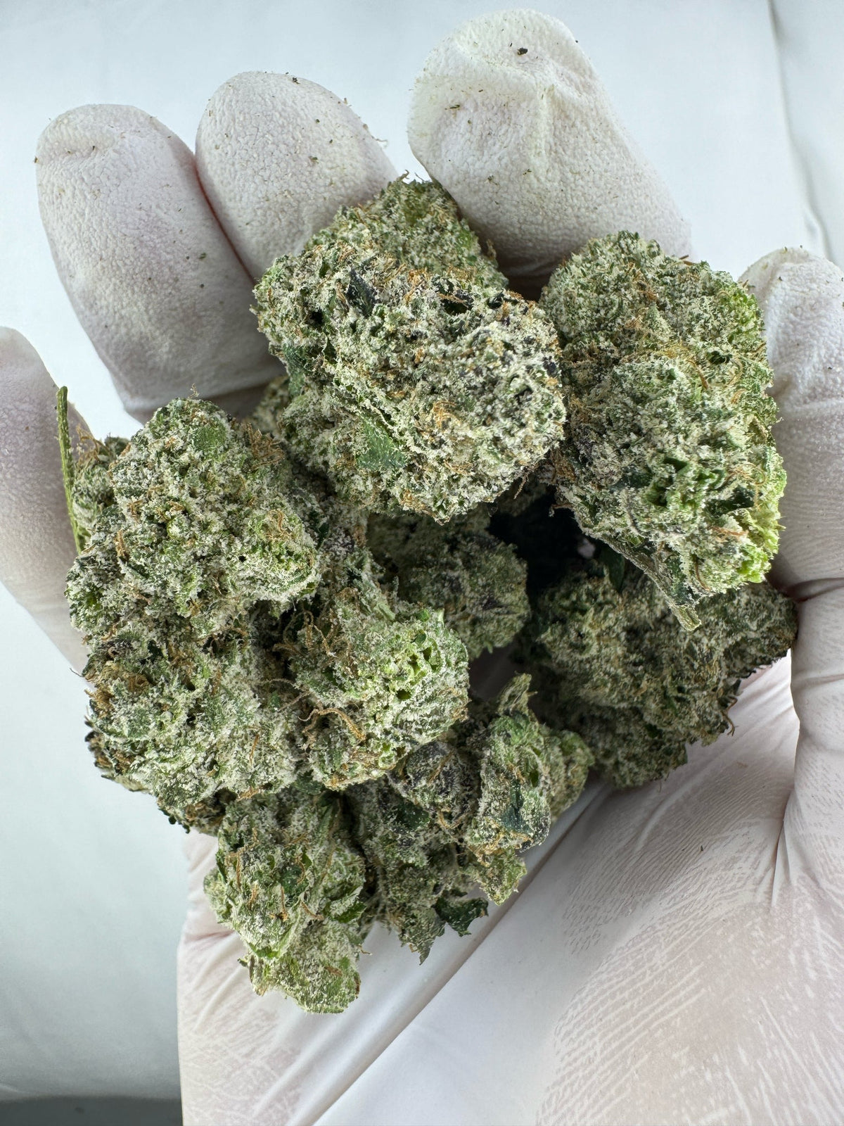 Super Boof - Indoor