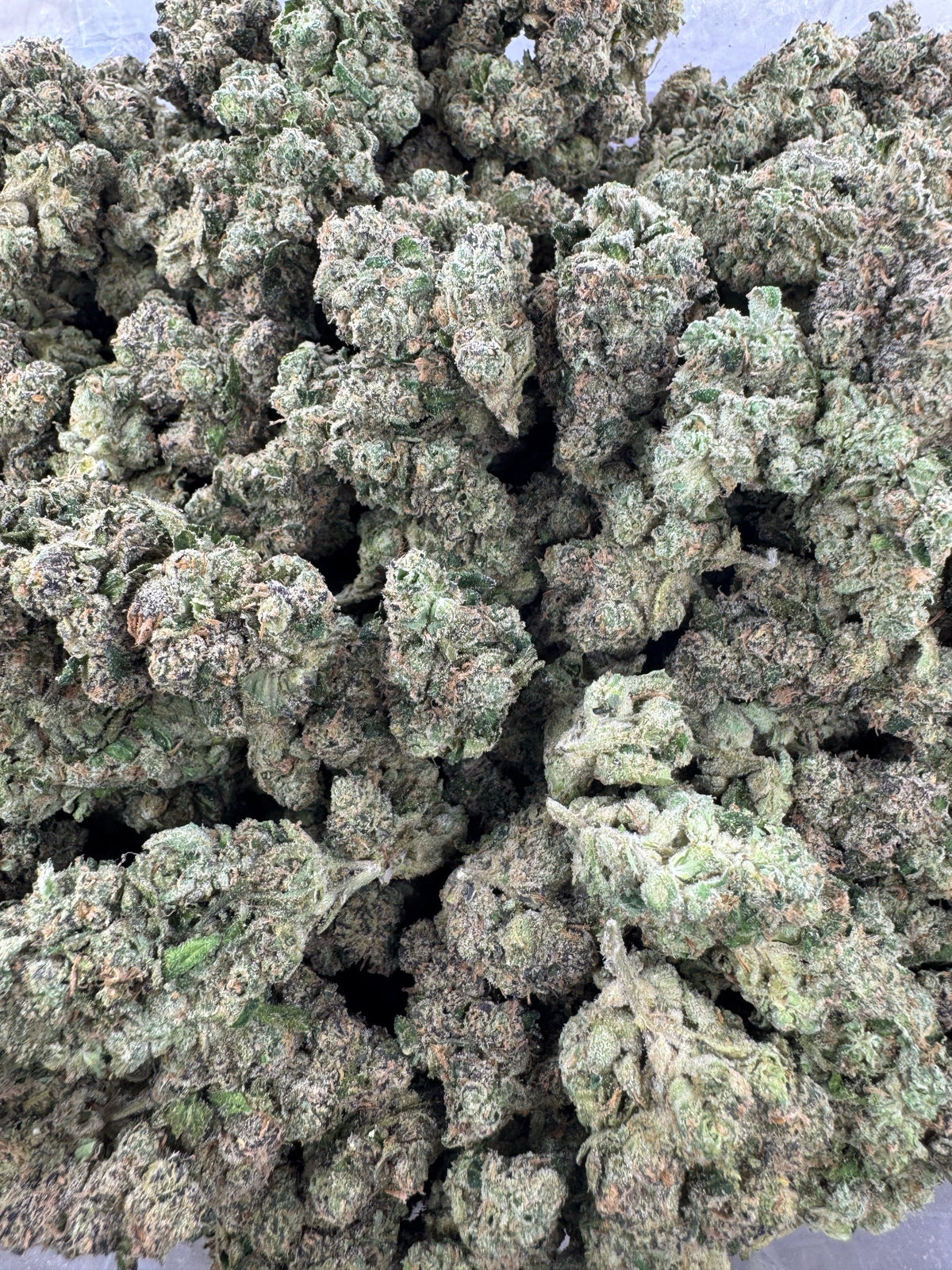 BULK - White Widow - Indoor
