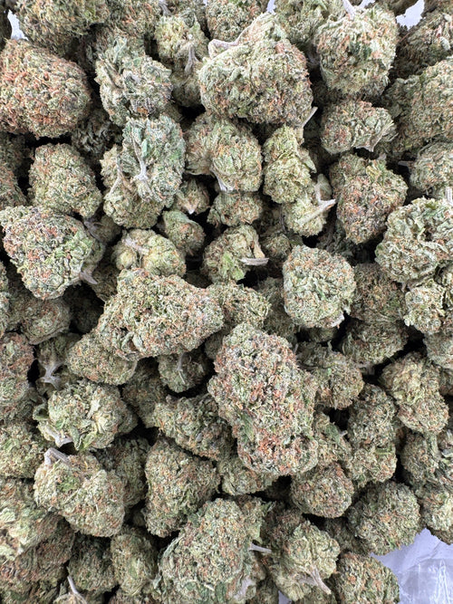 BULK - Pineapple Express - Indoor