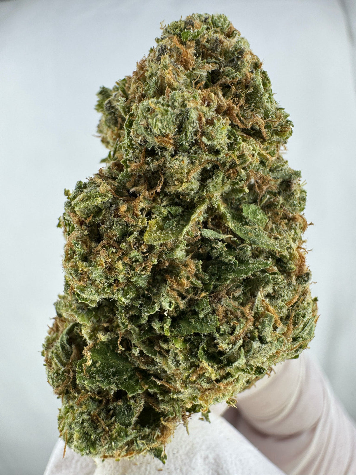 Pineapple Express - Indoor