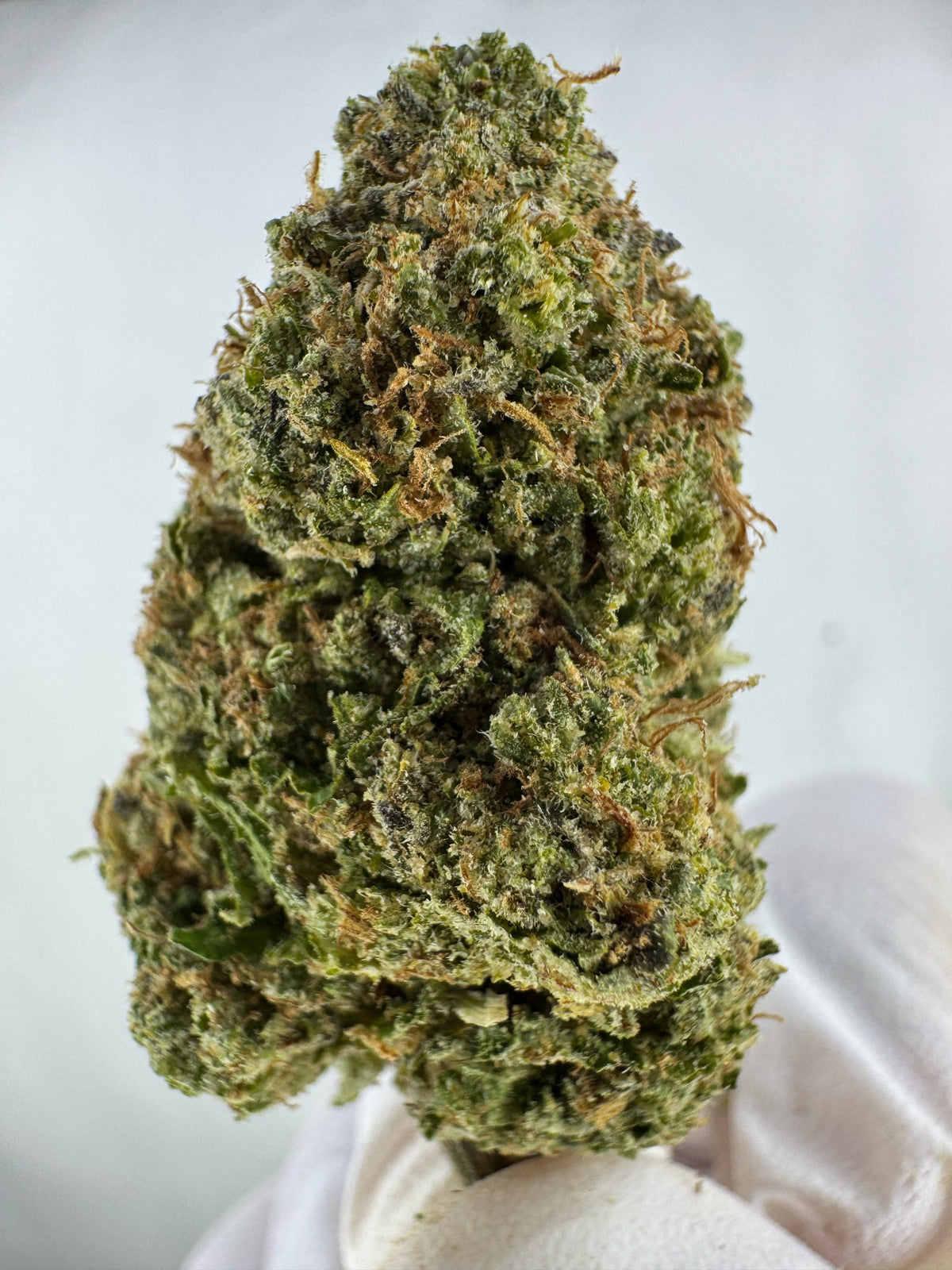 Pineapple Express - Indoor