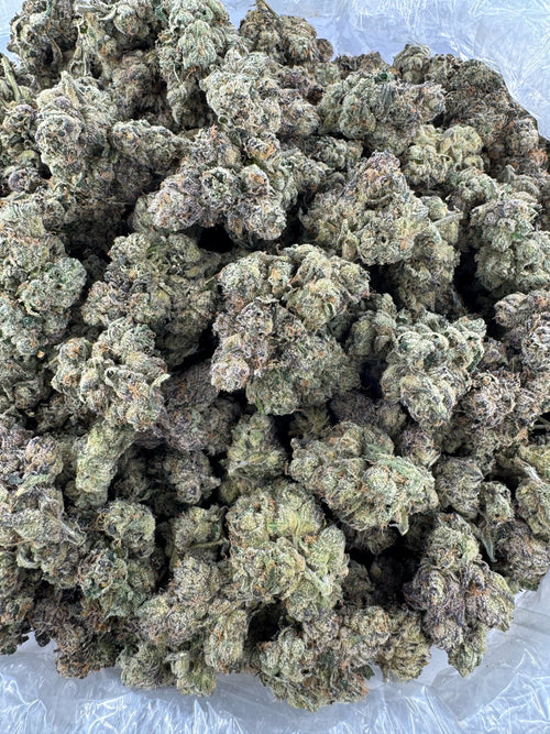 BULK - Pink Runtz - Indoor