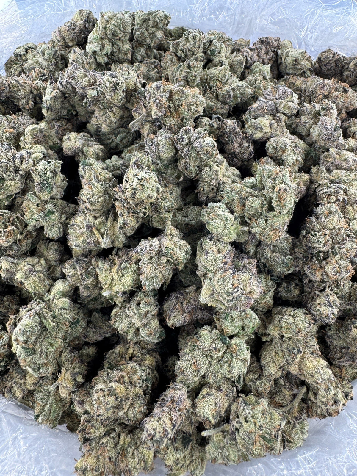 Blue Cheese - Indoor