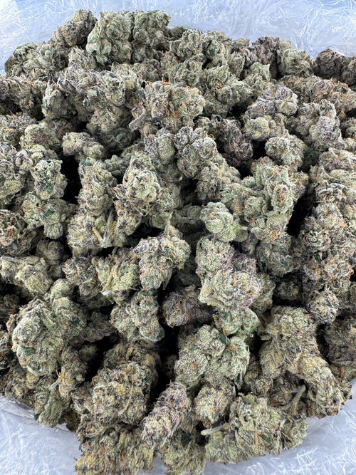 BULK - Blue Cheese - Indoor