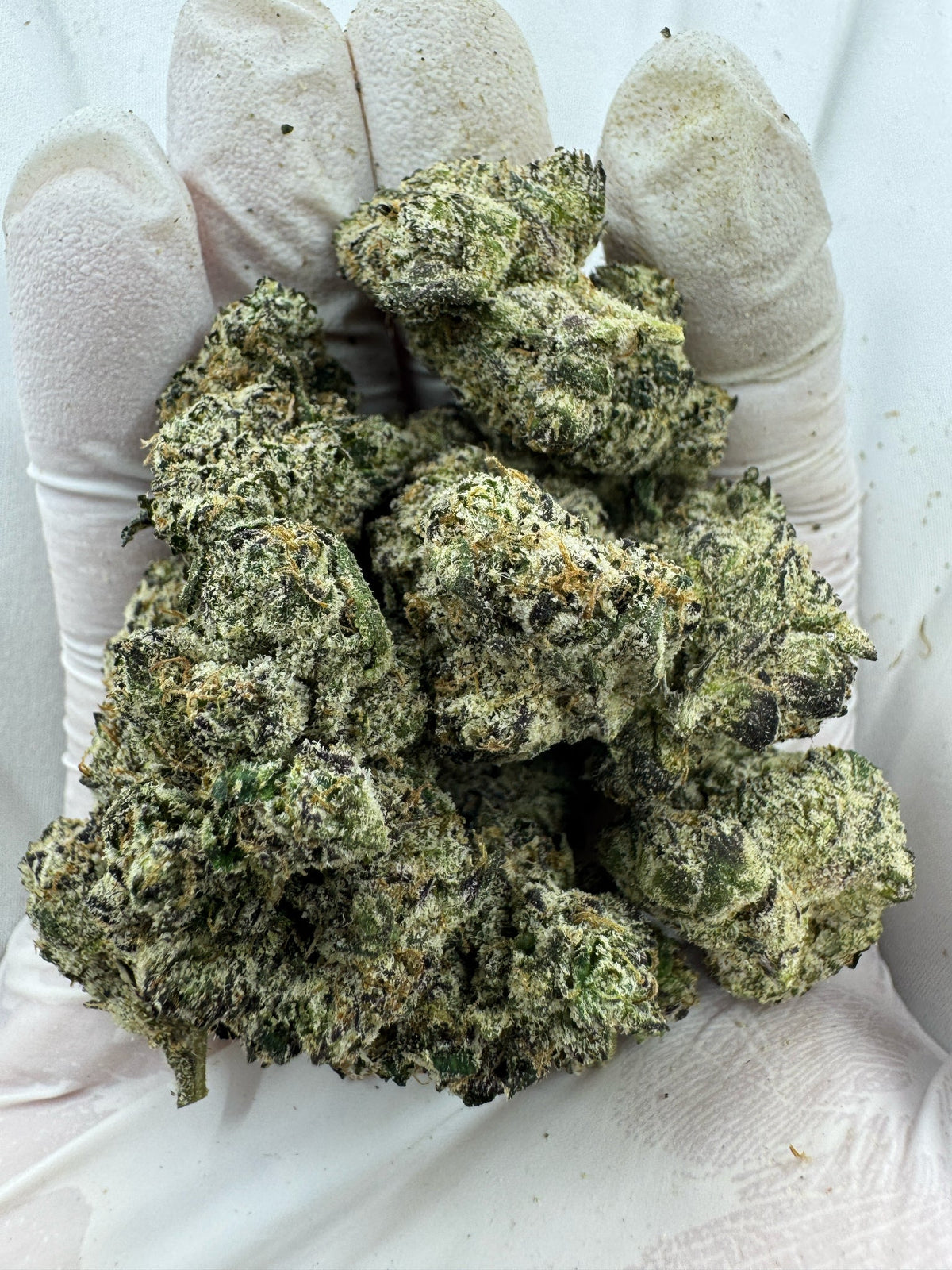 Grape Ape - Indoor