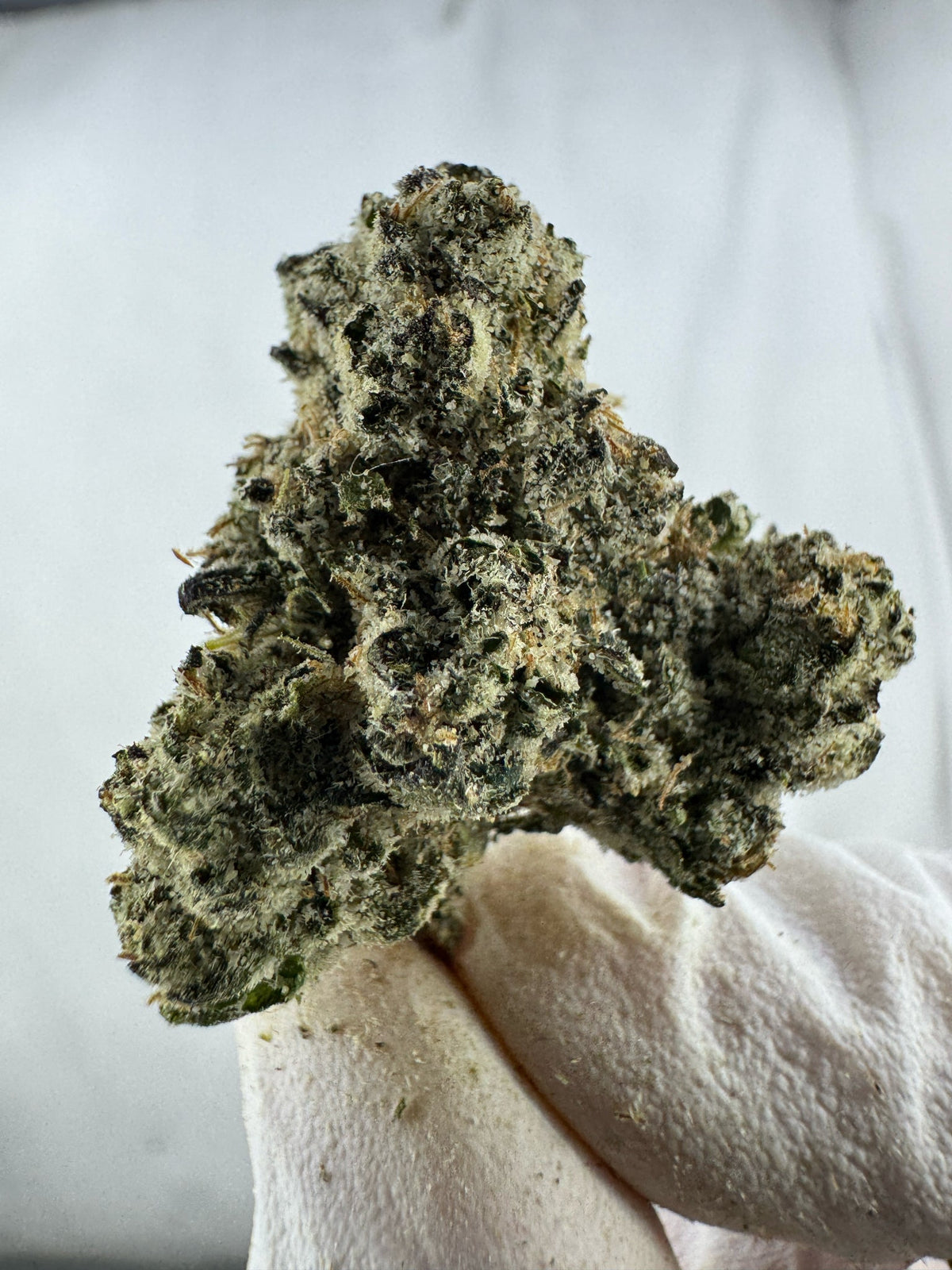 Grape Ape - Indoor