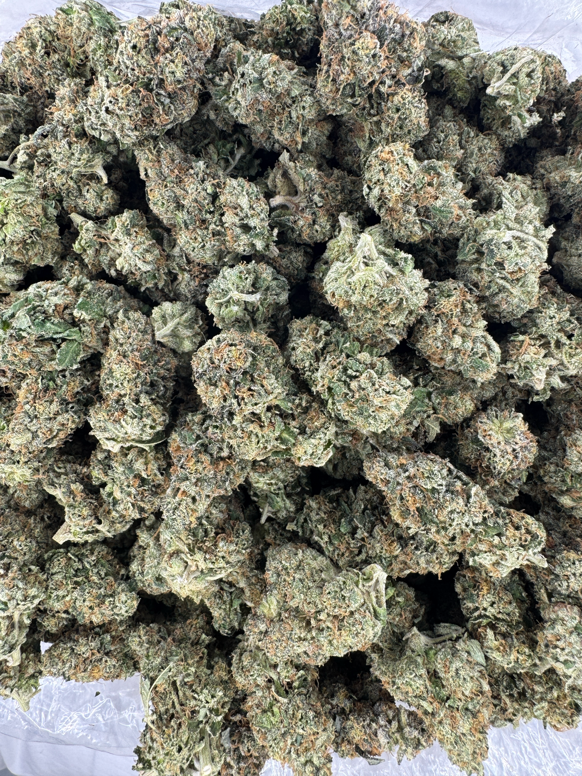 Yuzu Dippin Berry - BULK - Indoor
