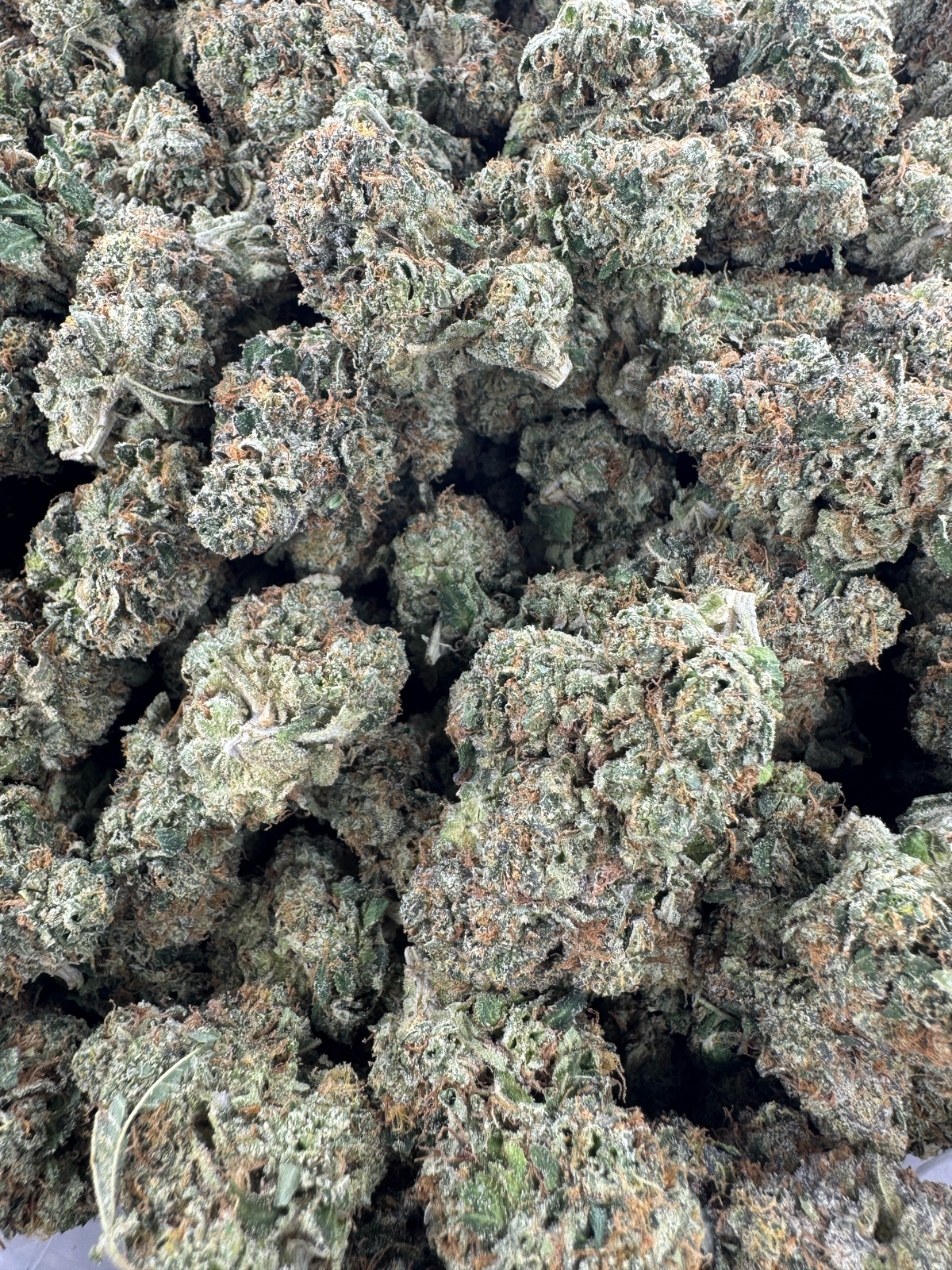 Yuzu Dippin Berry - BULK - Indoor
