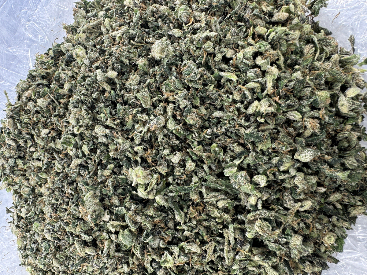 Zaza Blend Shake - Hybrid- Indoor - 28G - Ounce Deal