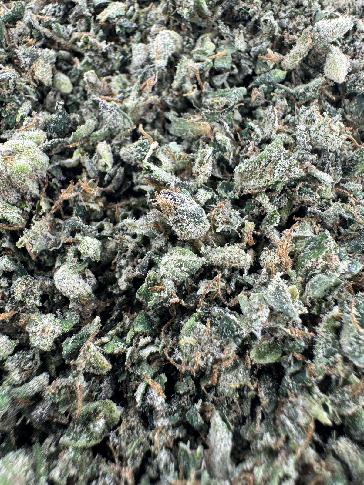 Purple Kush Shake - Indica - Indoor - 28G