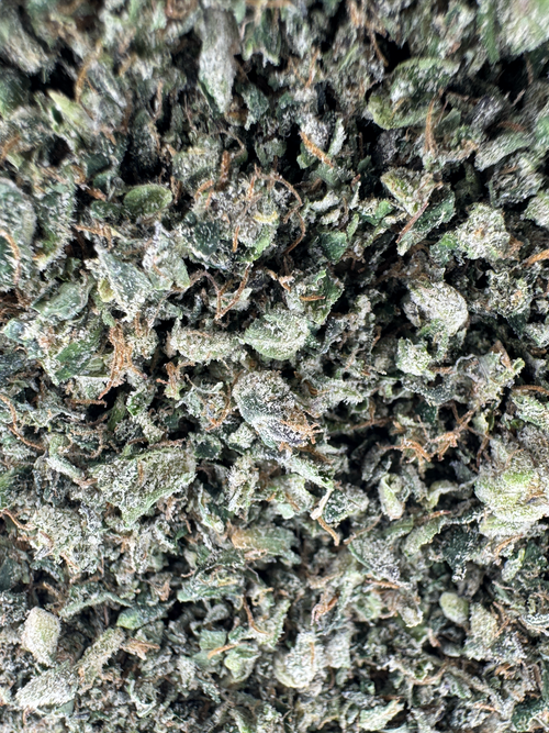 Zaza Blend Shake - Hybrid- Indoor - 28G