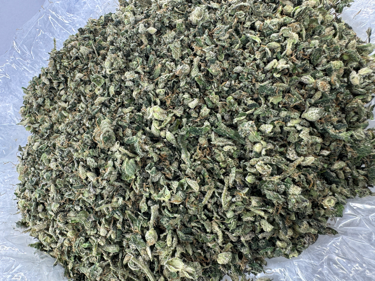 Zaza Blend Shake - Hybrid- Indoor - 28G - Ounce Deal
