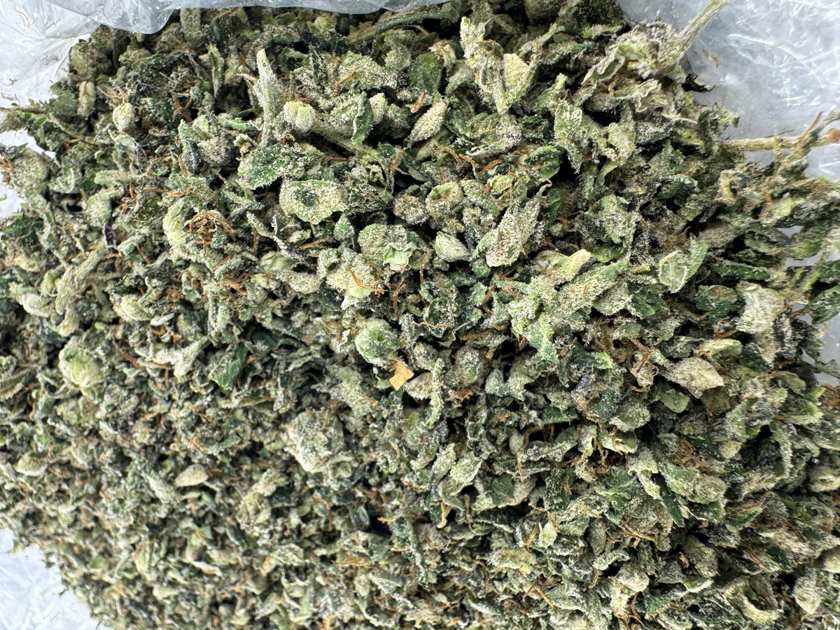 Zaza Blend Shake - Hybrid- Indoor - 28G - Ounce Deal