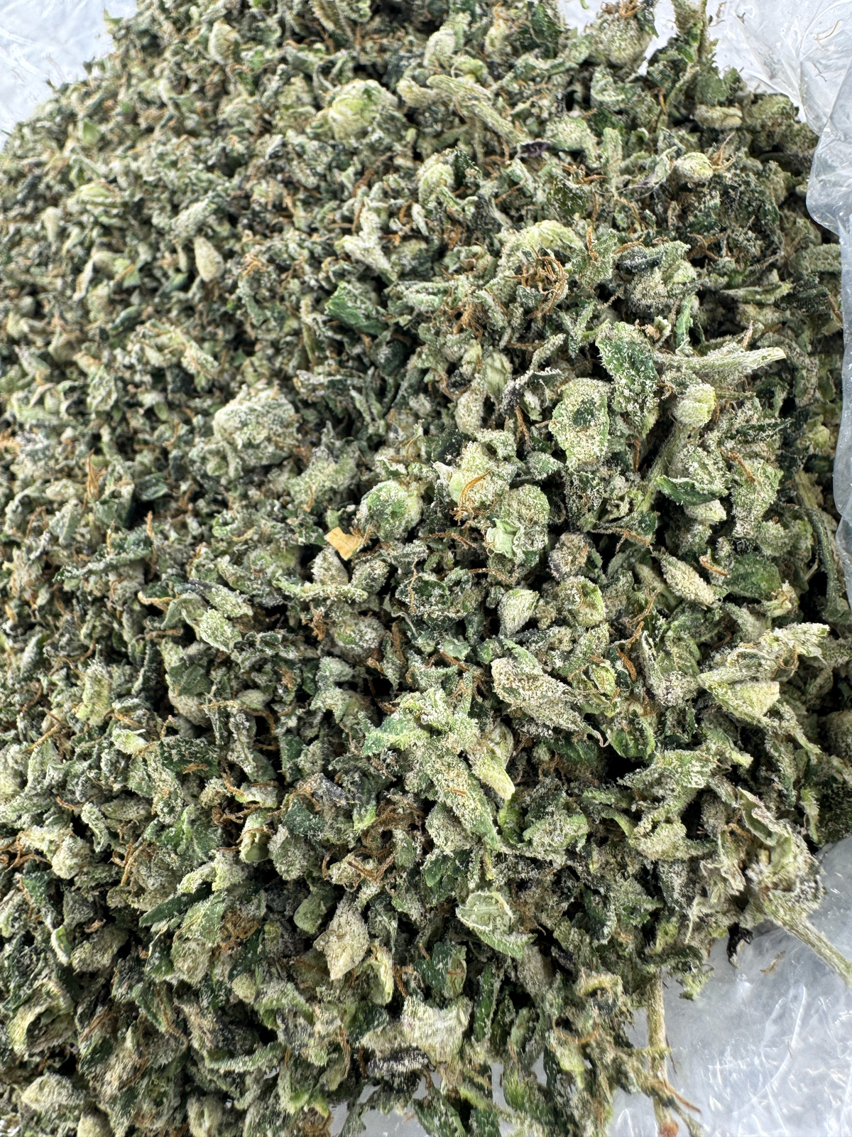 Sour Melon Ritz Shake - Sativa - Indoor - 28G
