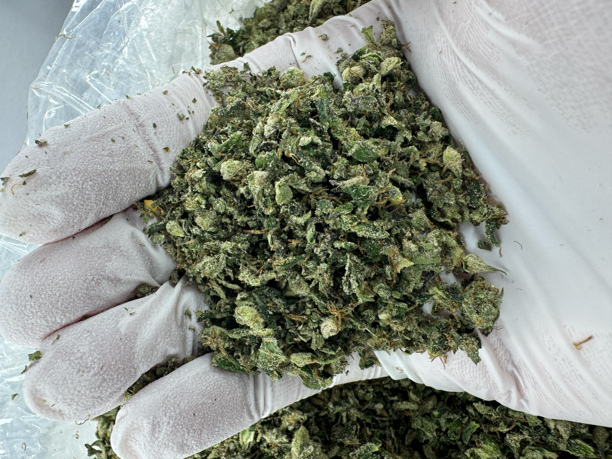 Sour Melon Ritz Shake - Sativa - Indoor - 28G