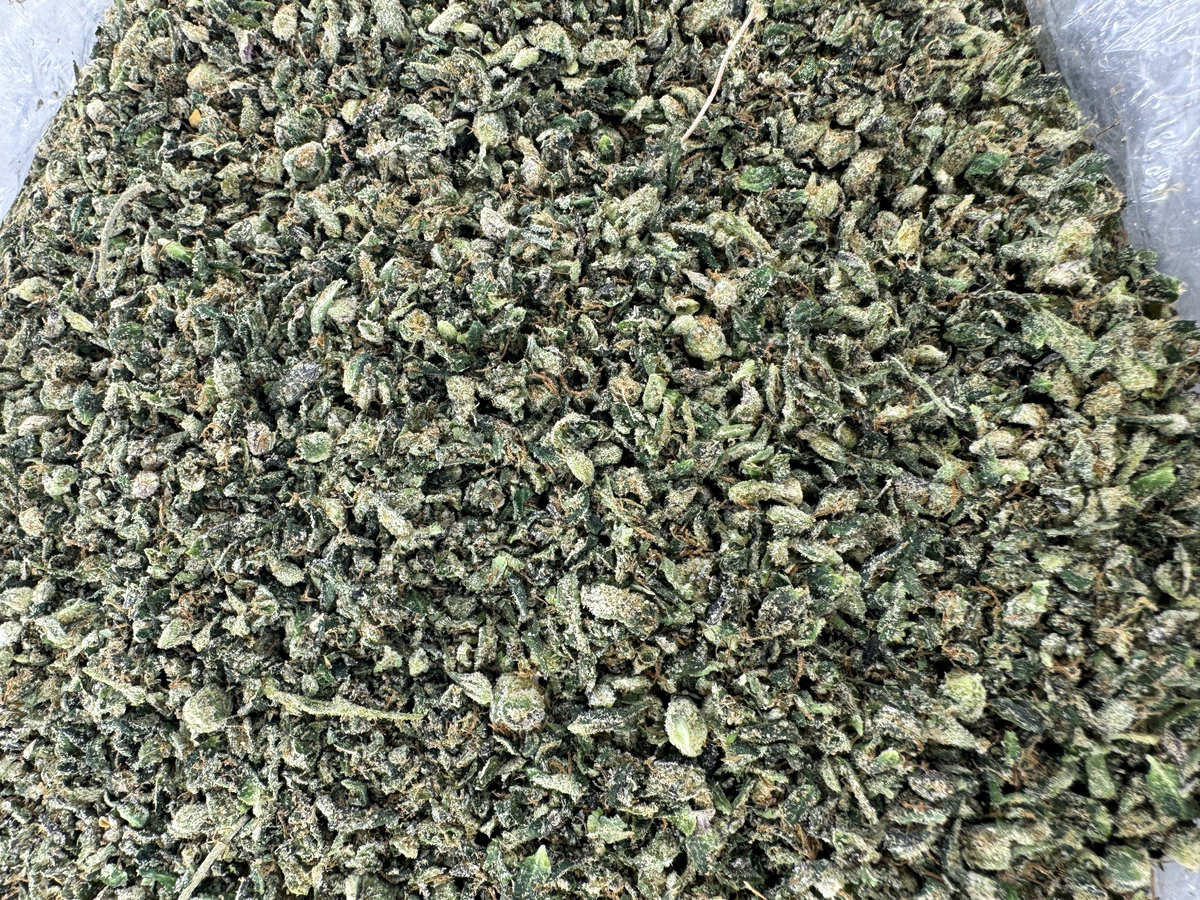 Sour Melon Ritz Shake - Sativa - Indoor - 28G