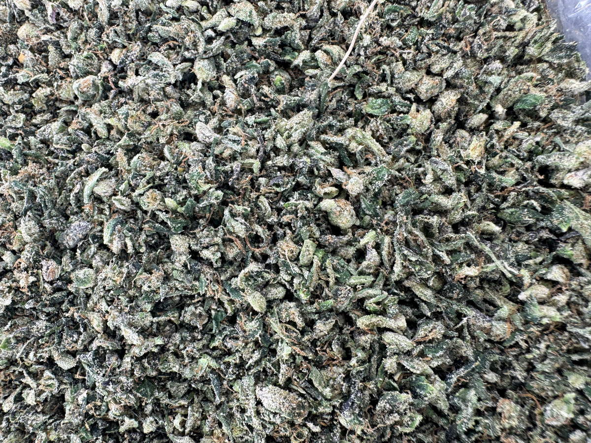 Sour Melon Ritz Shake - Sativa - Indoor - 28G