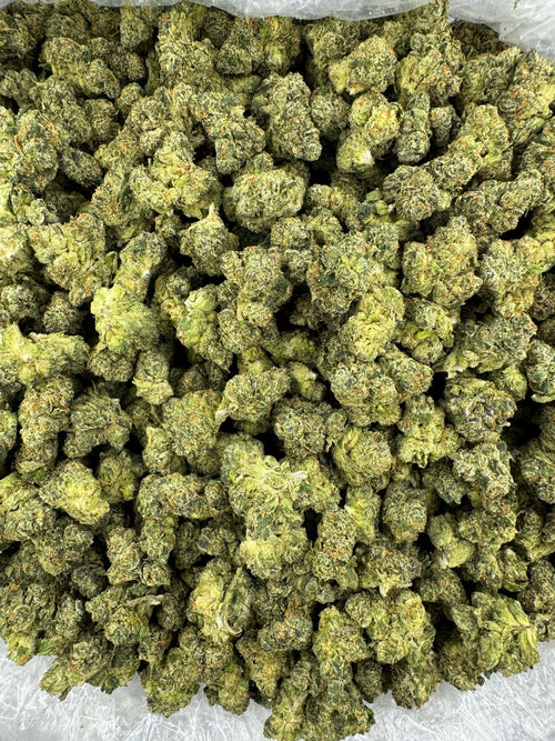 BULK - Dosilato - Indoor