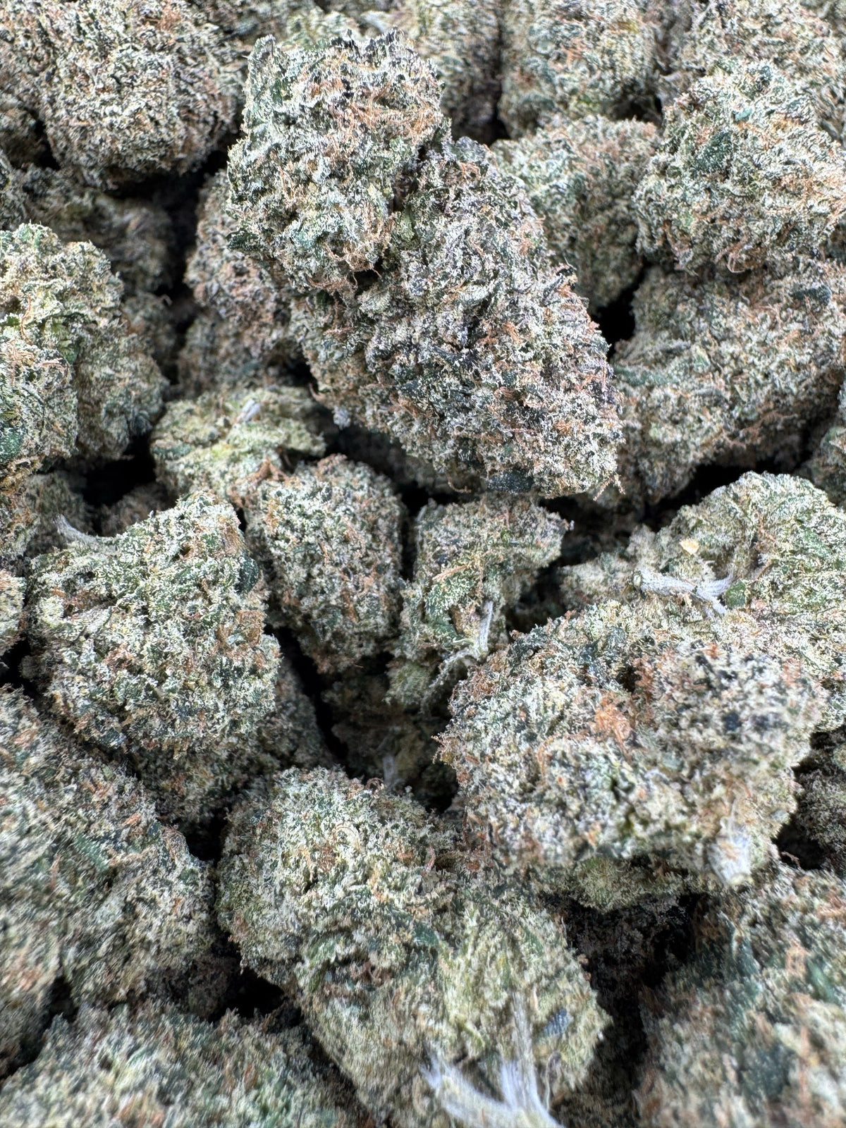 Ooze - Indoor