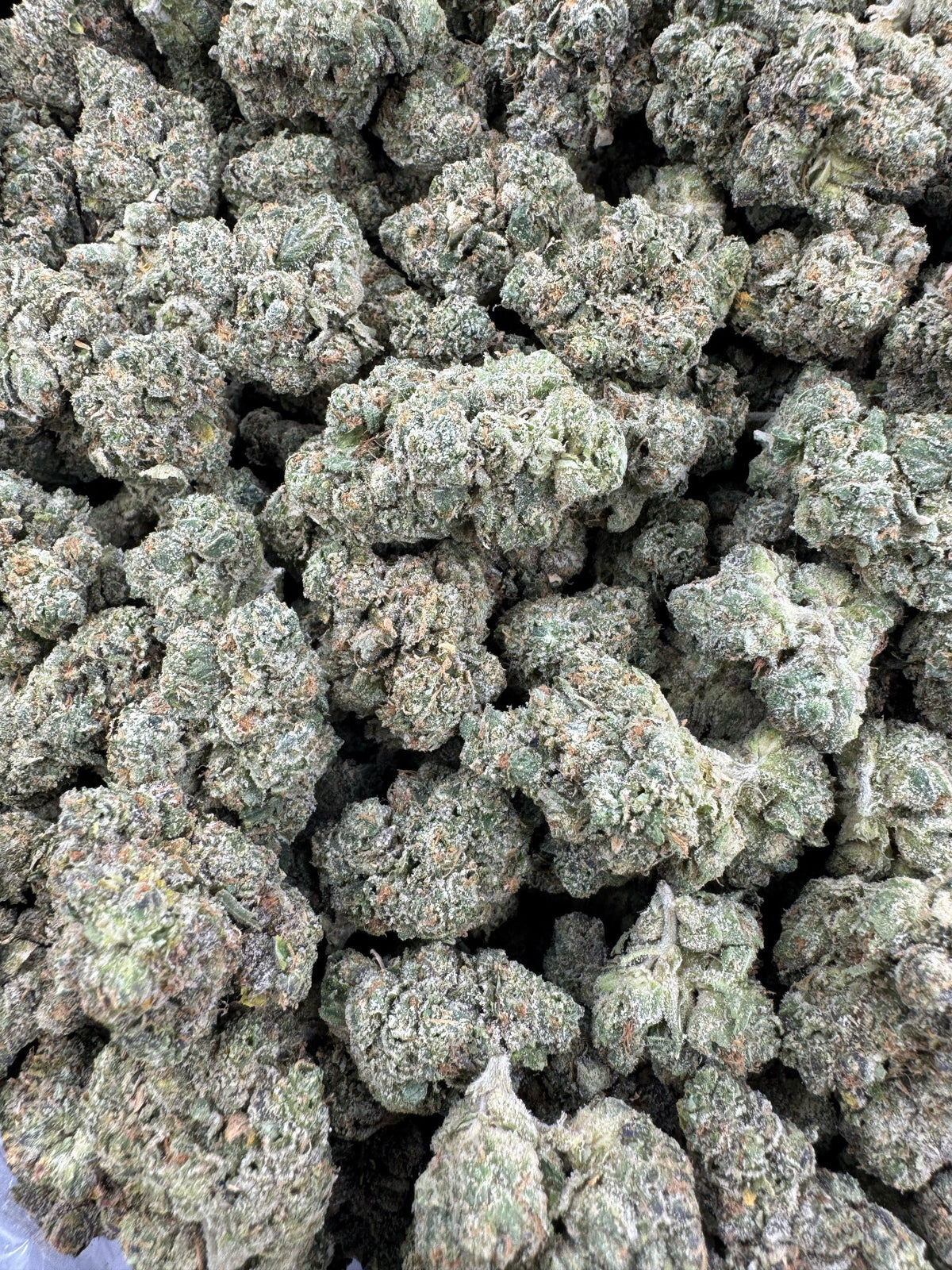 Durban Poison - Indoor