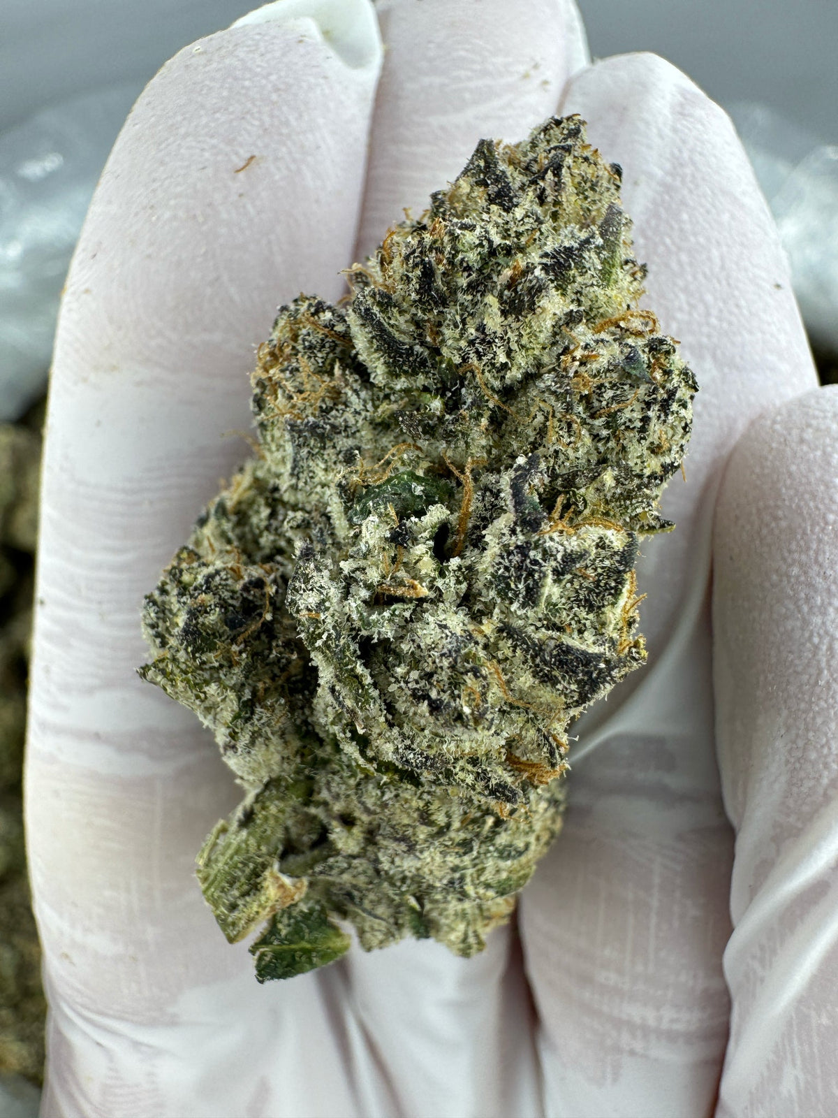 Granddaddy Purple - Indoor