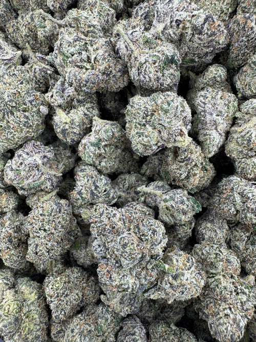 BULK - Layered Cake - Indoor